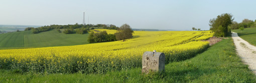 Reppmeierhof - Impressionen