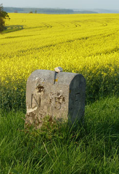 Reppmeier Hof - Preise